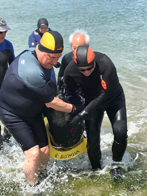 STAGE M2 MARCHE AQUATIQUE CÔTIERE À CONCARNEAU